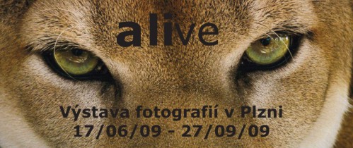 59774_126256_alive1.jpg