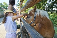 ZOO Plzeň (statek) - pro zvětšení fotografie klikněte na náhled