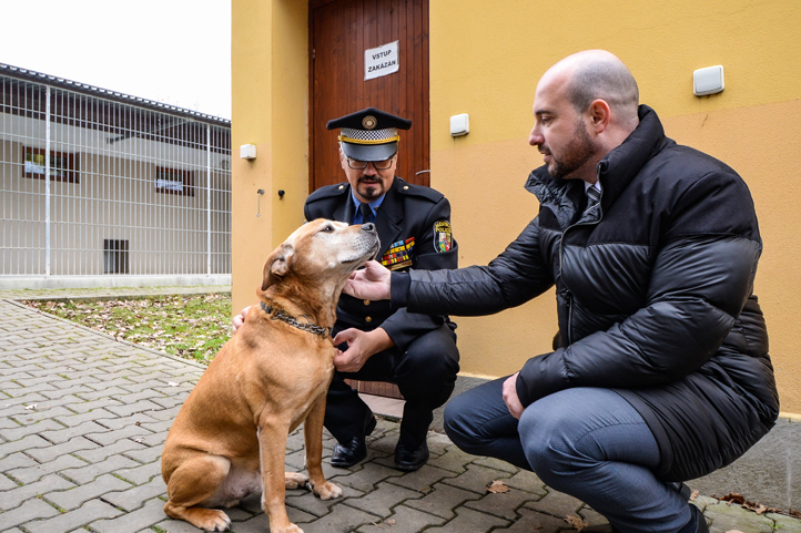 Návštěva útulku (fotografie: M. Pecuch)